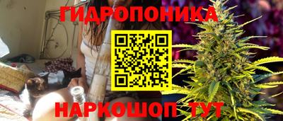 индика Краснокаменск