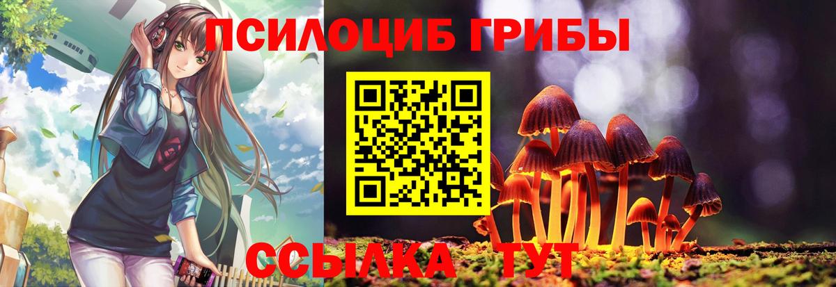 Каменск-Уральский  Псилоцибиновые грибы Psilocybe  Псилоцибиновые грибы Cubensis  Вход с VPN 